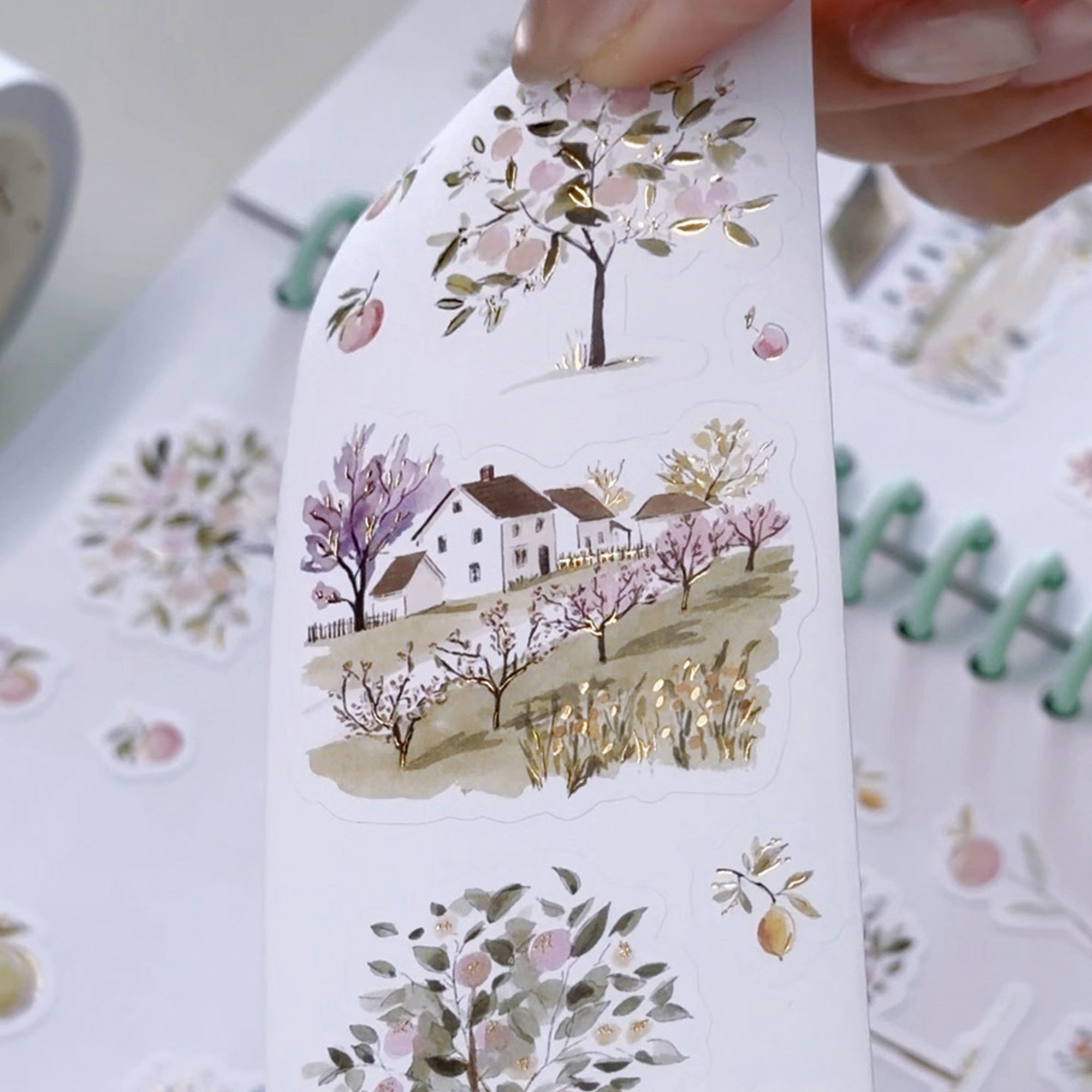 Pre-cut Sunlit Orchard Script Tape Set (GILDED) - immagine 10