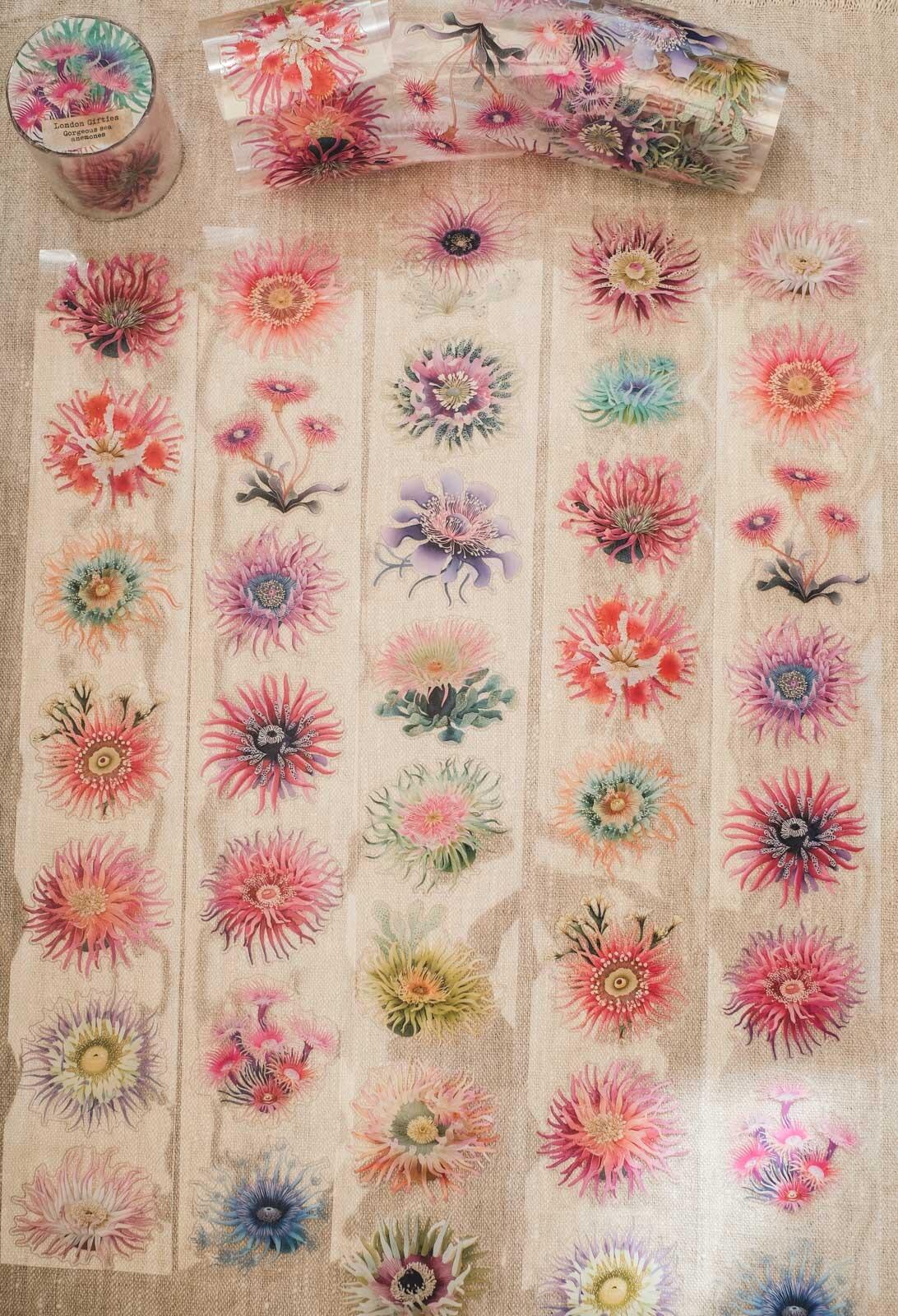London Gifties – Gorgeous sea anemones – PET Tape pretagliato 6 cm × 10 m - immagine 2