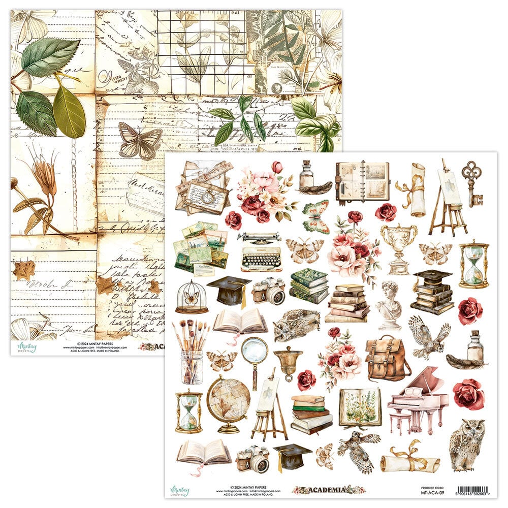 Mintay Academia – Set Carte Scrapbooking 12×12″, 12 fogli - immagine 8