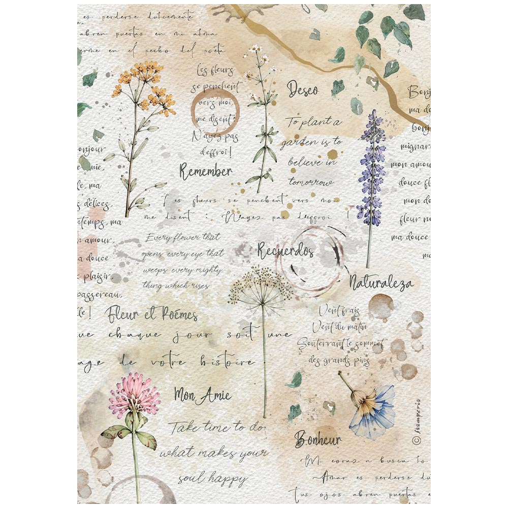 Stamperia – Set di 6 carte di riso A4 - Flowers and Poems - immagine 4