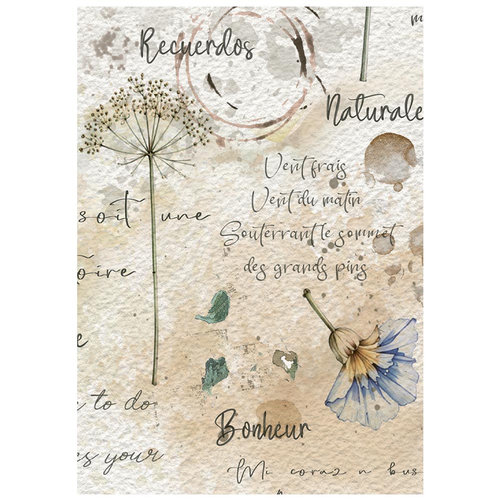 Stamperia – Set di 8 carte di riso A6 Flowers and Poems - immagine 8