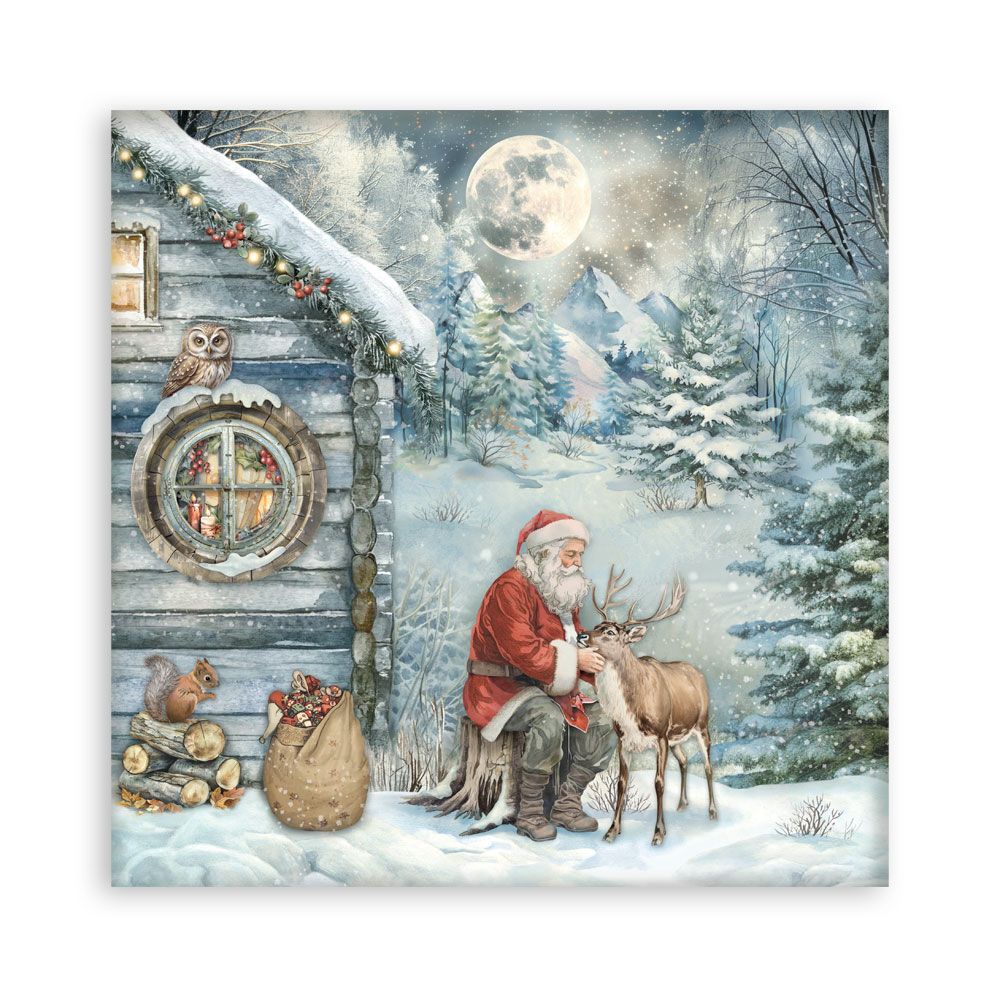 Stamperia – Blocco scrapbooking 30,5 × 30,5 cm – 10 fogli fronte-retro - The Owl's House - immagine 10