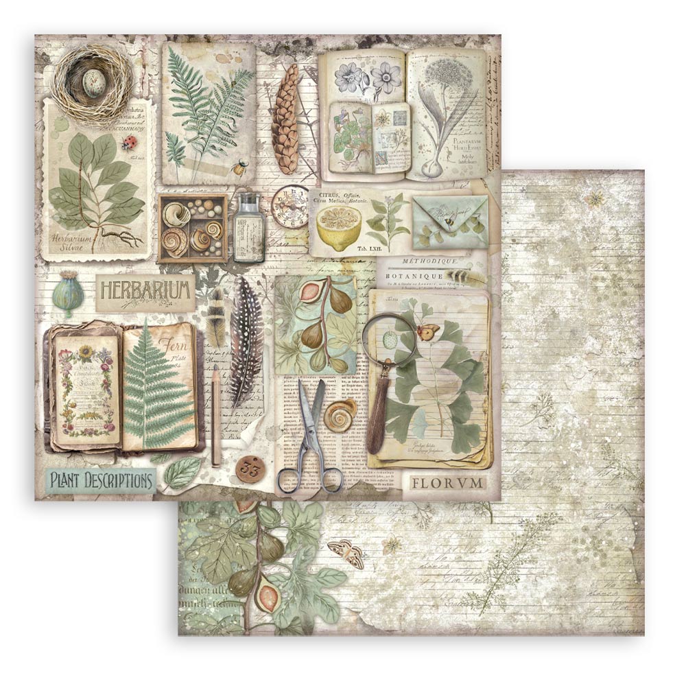 Stamperia – Blocco scrapbooking 30,5 × 30,5 cm – 10 fogli fronte-retro - Herbarium Silvae - immagine 18