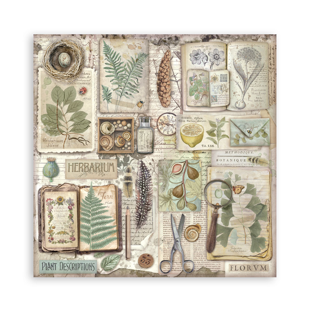 Stamperia – Blocco scrapbooking 30,5 × 30,5 cm – 10 fogli fronte-retro - Herbarium Silvae - immagine 19