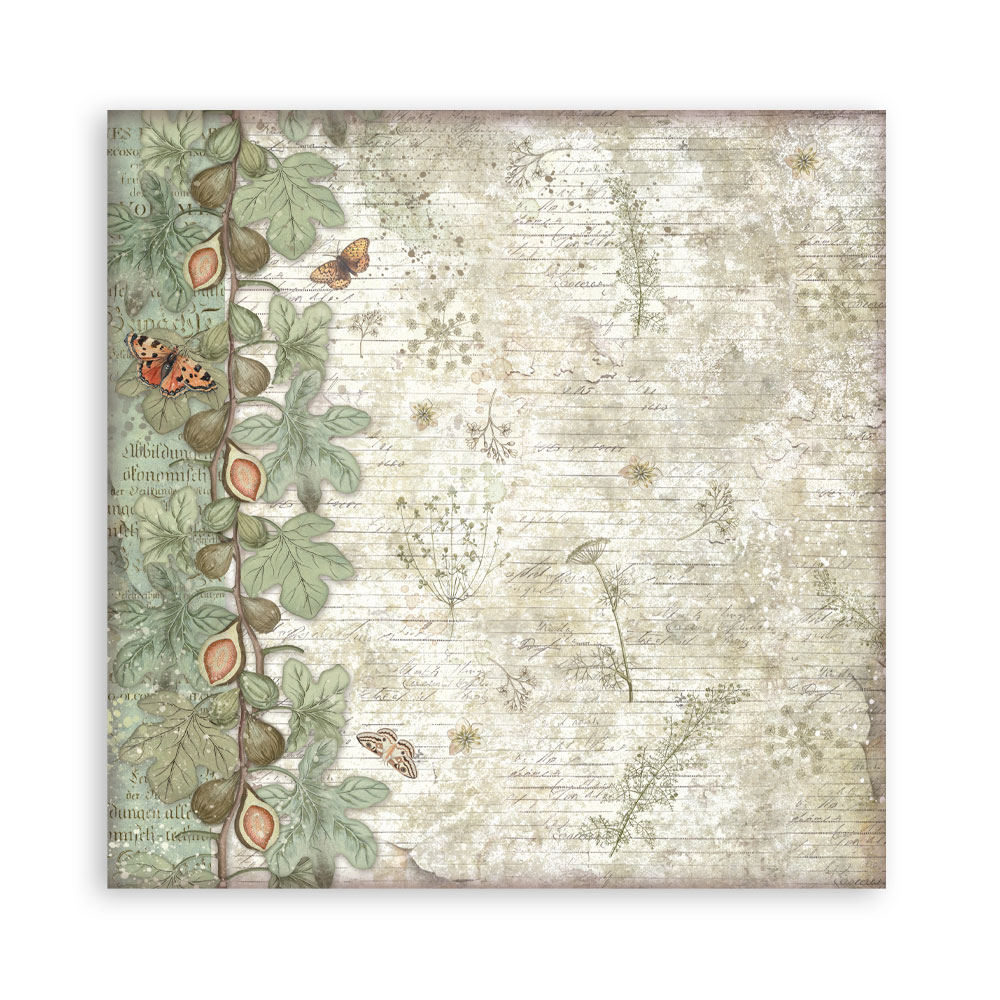 Stamperia – Blocco scrapbooking 30,5 × 30,5 cm – 10 fogli fronte-retro - Herbarium Silvae - immagine 20