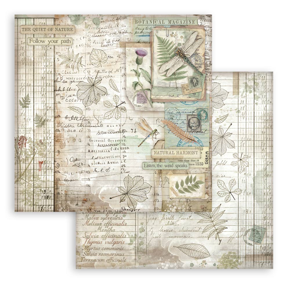 Stamperia – Blocco scrapbooking 30,5 × 30,5 cm – 10 fogli fronte-retro - Herbarium Silvae - immagine 30