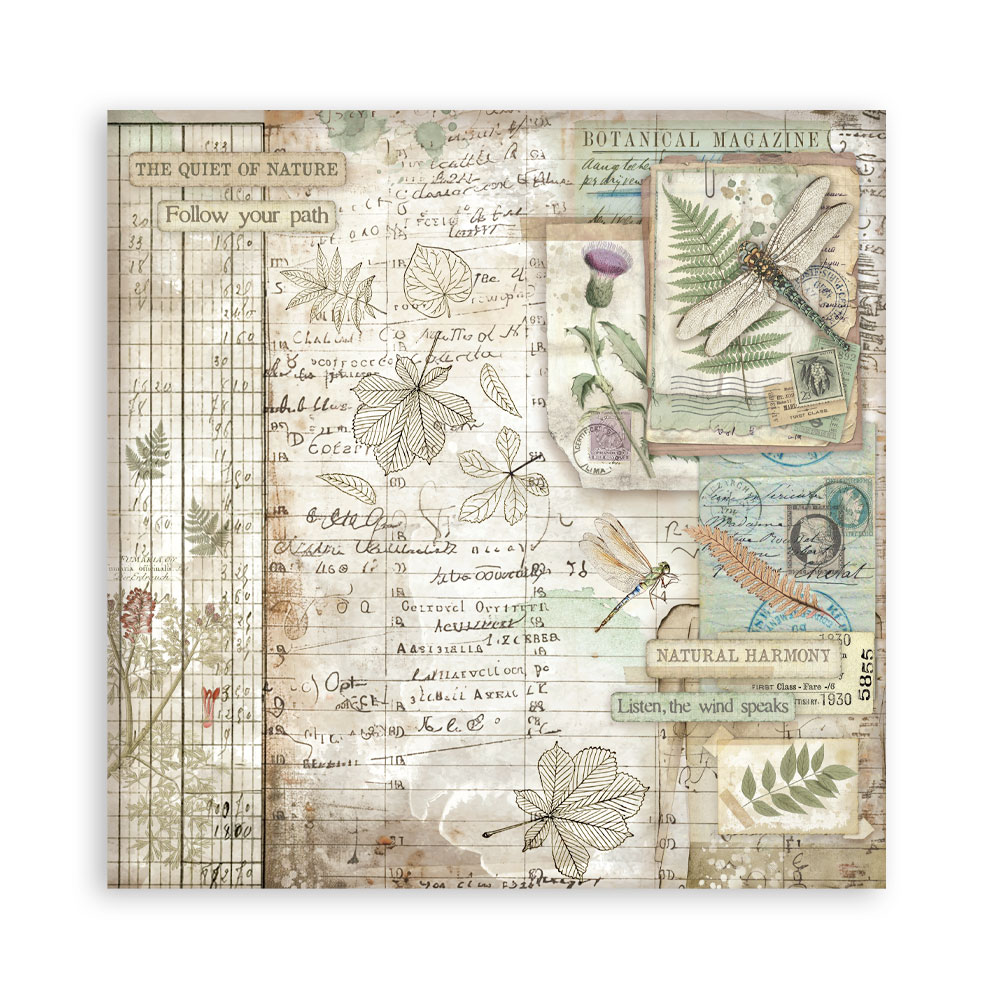 Stamperia – Blocco scrapbooking 30,5 × 30,5 cm – 10 fogli fronte-retro - Herbarium Silvae - immagine 31