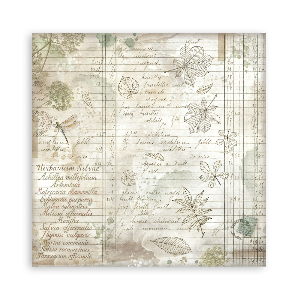 Stamperia – Blocco scrapbooking 30,5 × 30,5 cm – 10 fogli fronte-retro - Herbarium Silvae - immagine 32