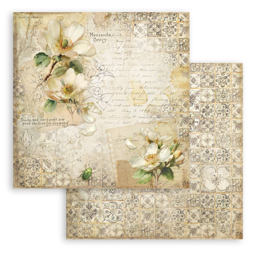 Stamperia – Blocco scrapbooking 30,5 × 30,5 cm – 10 fogli fronte-retro - All Around - immagine 4