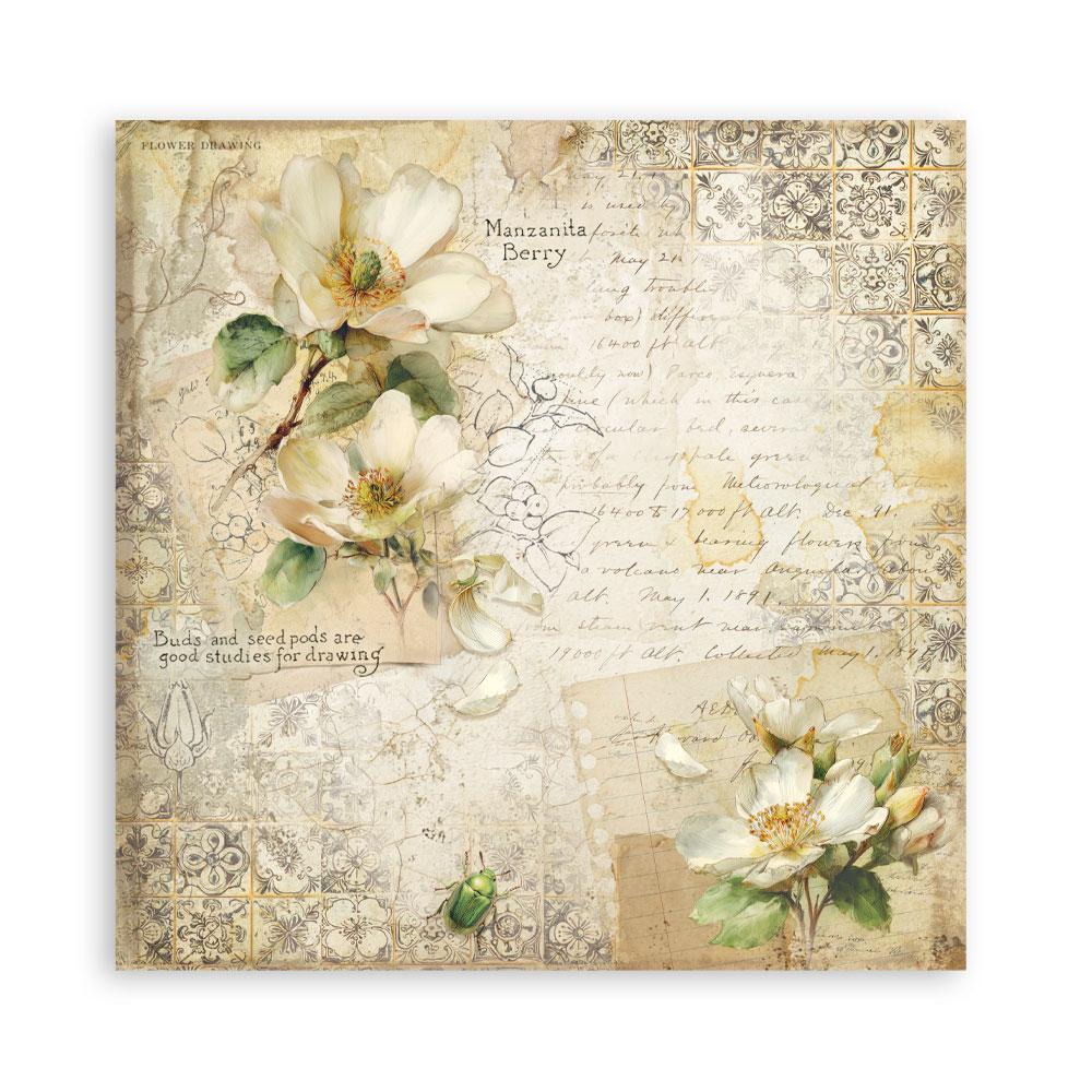 Stamperia – Blocco scrapbooking 30,5 × 30,5 cm – 10 fogli fronte-retro - All Around - immagine 5