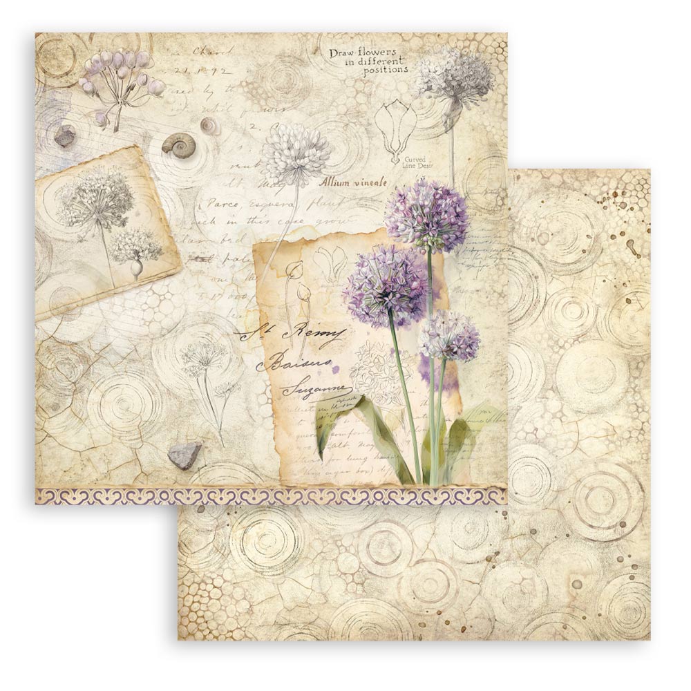 Stamperia – Blocco scrapbooking 30,5 × 30,5 cm – 10 fogli fronte-retro - All Around - immagine 10