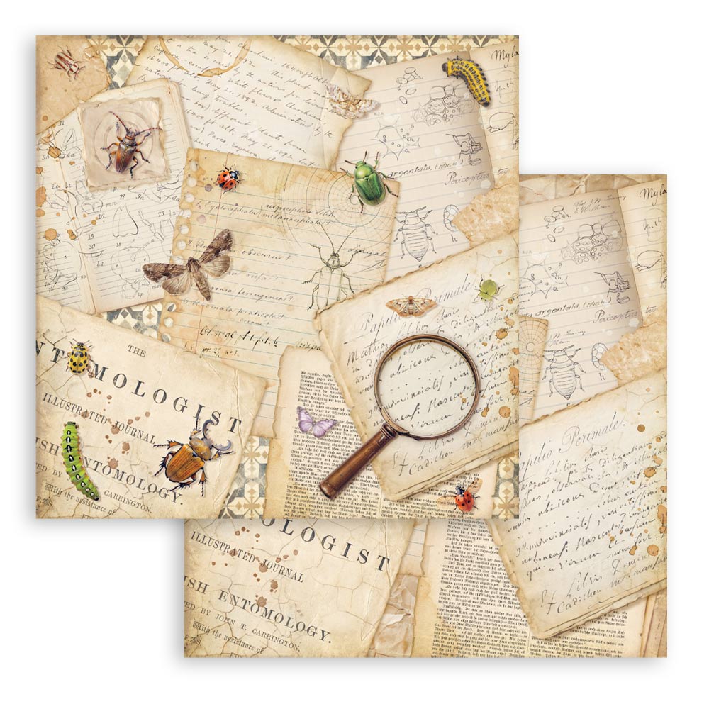 Stamperia – Blocco scrapbooking 30,5 × 30,5 cm – 10 fogli fronte-retro - All Around - immagine 13