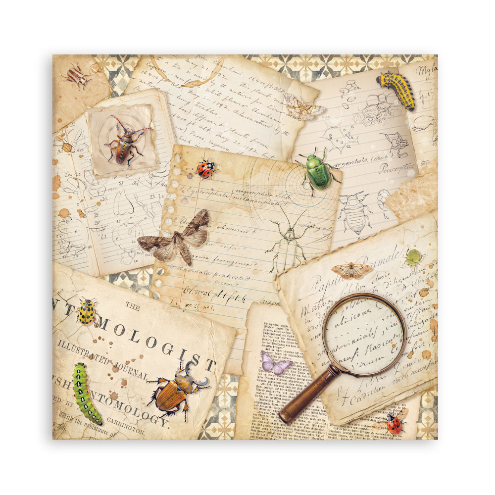 Stamperia – Blocco scrapbooking 30,5 × 30,5 cm – 10 fogli fronte-retro - All Around - immagine 14