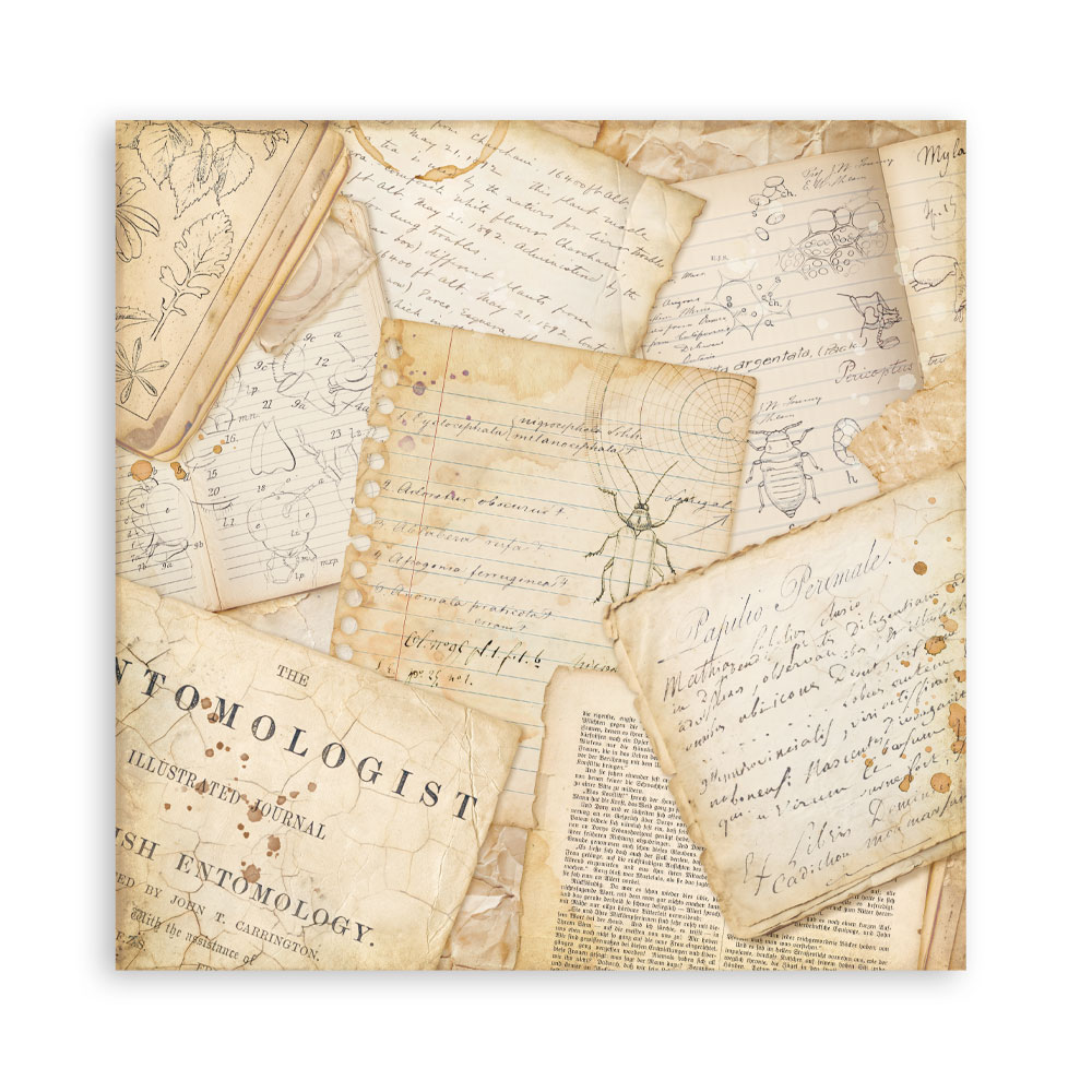 Stamperia – Blocco scrapbooking 30,5 × 30,5 cm – 10 fogli fronte-retro - All Around - immagine 15