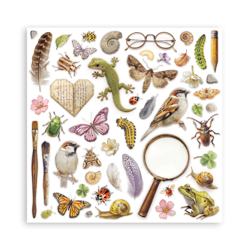 Stamperia – Blocco scrapbooking 30,5 × 30,5 cm – 10 fogli fronte-retro - All Around - immagine 34