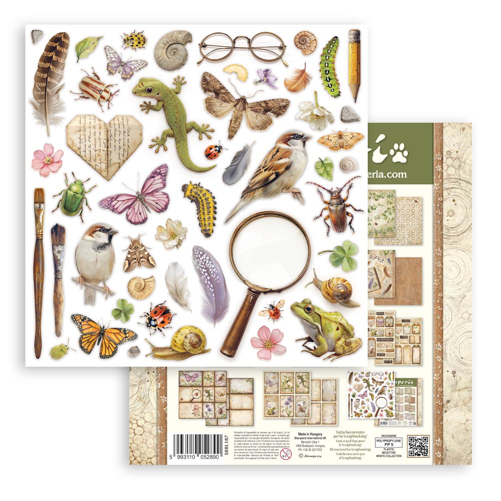 Stamperia – Blocco scrapbooking 30,5 × 30,5 cm – 10 fogli fronte-retro - All Around - immagine 35