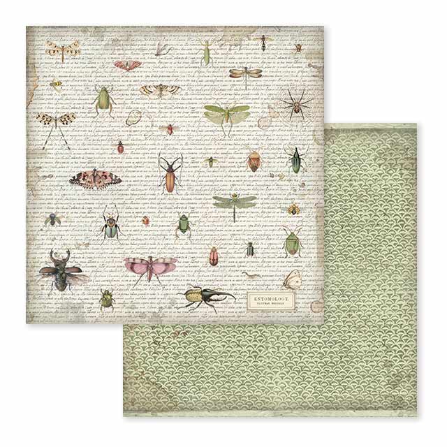 Stamperia – Blocco scrapbooking 30,5 × 30,5 cm – 10 fogli fronte-retro - Spring Botanic - immagine 9