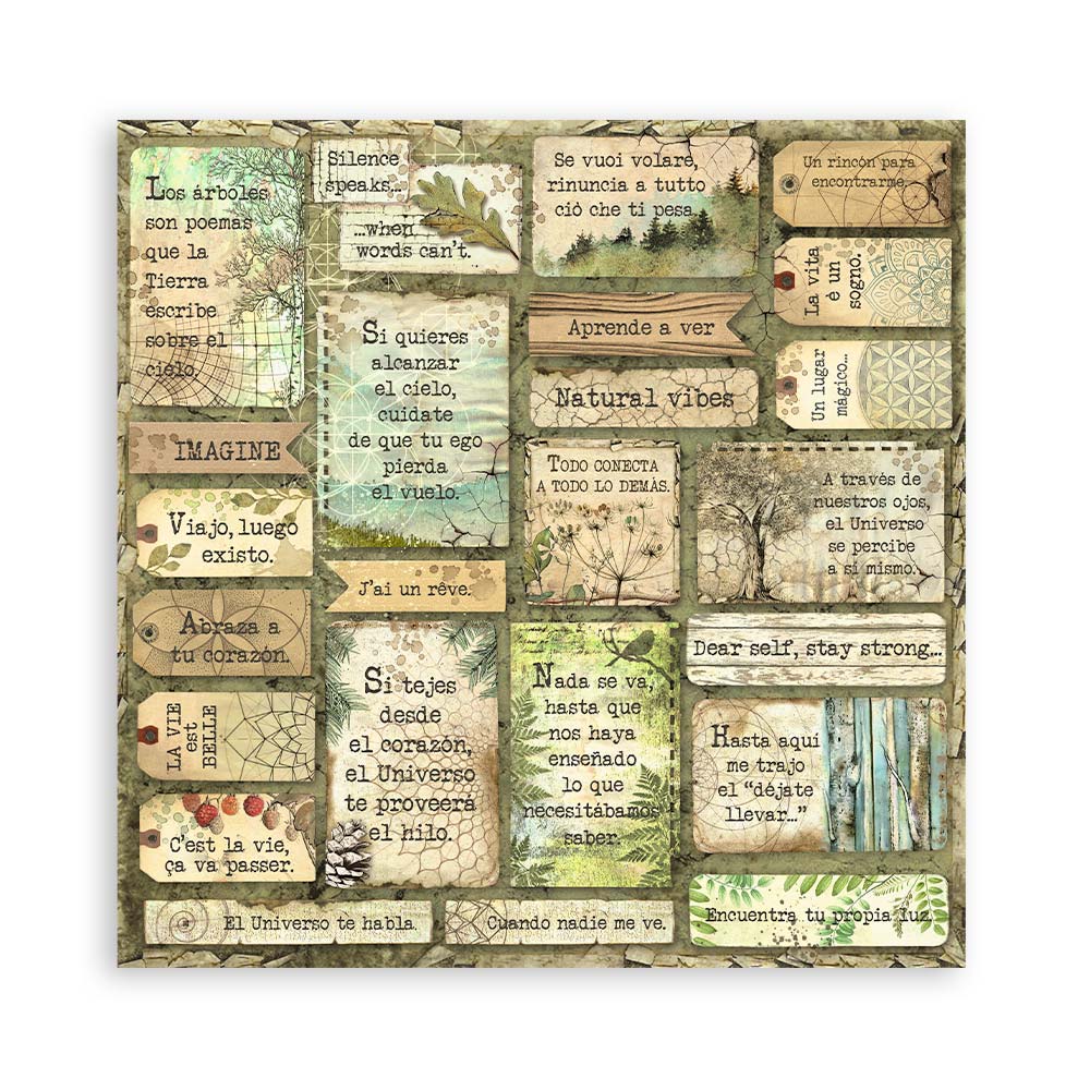 Stamperia – Blocco scrapbooking 30,5 × 30,5 cm – 10 fogli fronte-retro - Forest - immagine 2