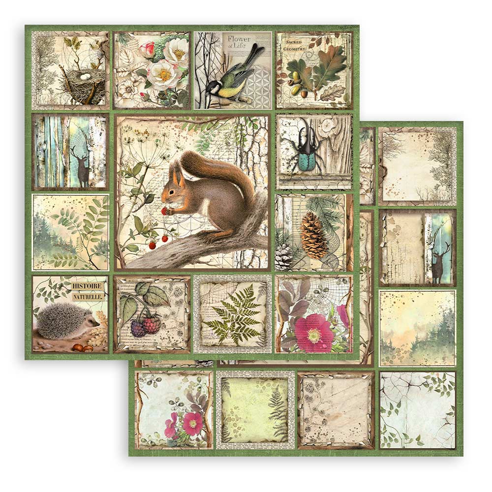 Stamperia – Blocco scrapbooking 30,5 × 30,5 cm – 10 fogli fronte-retro - Forest - immagine 3