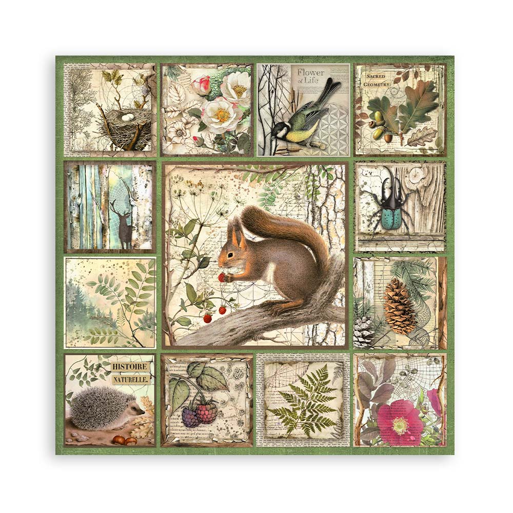 Stamperia – Blocco scrapbooking 30,5 × 30,5 cm – 10 fogli fronte-retro - Forest - immagine 4