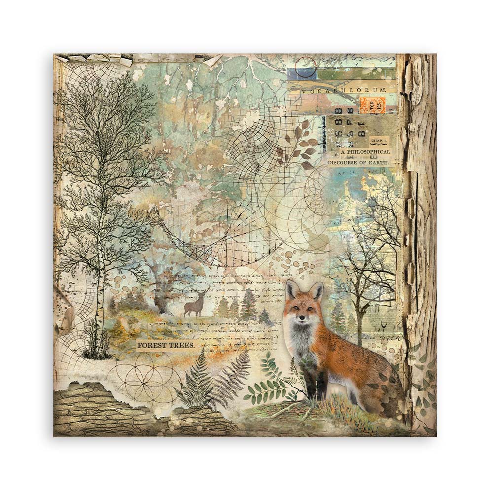 Stamperia – Blocco scrapbooking 30,5 × 30,5 cm – 10 fogli fronte-retro - Forest - immagine 7