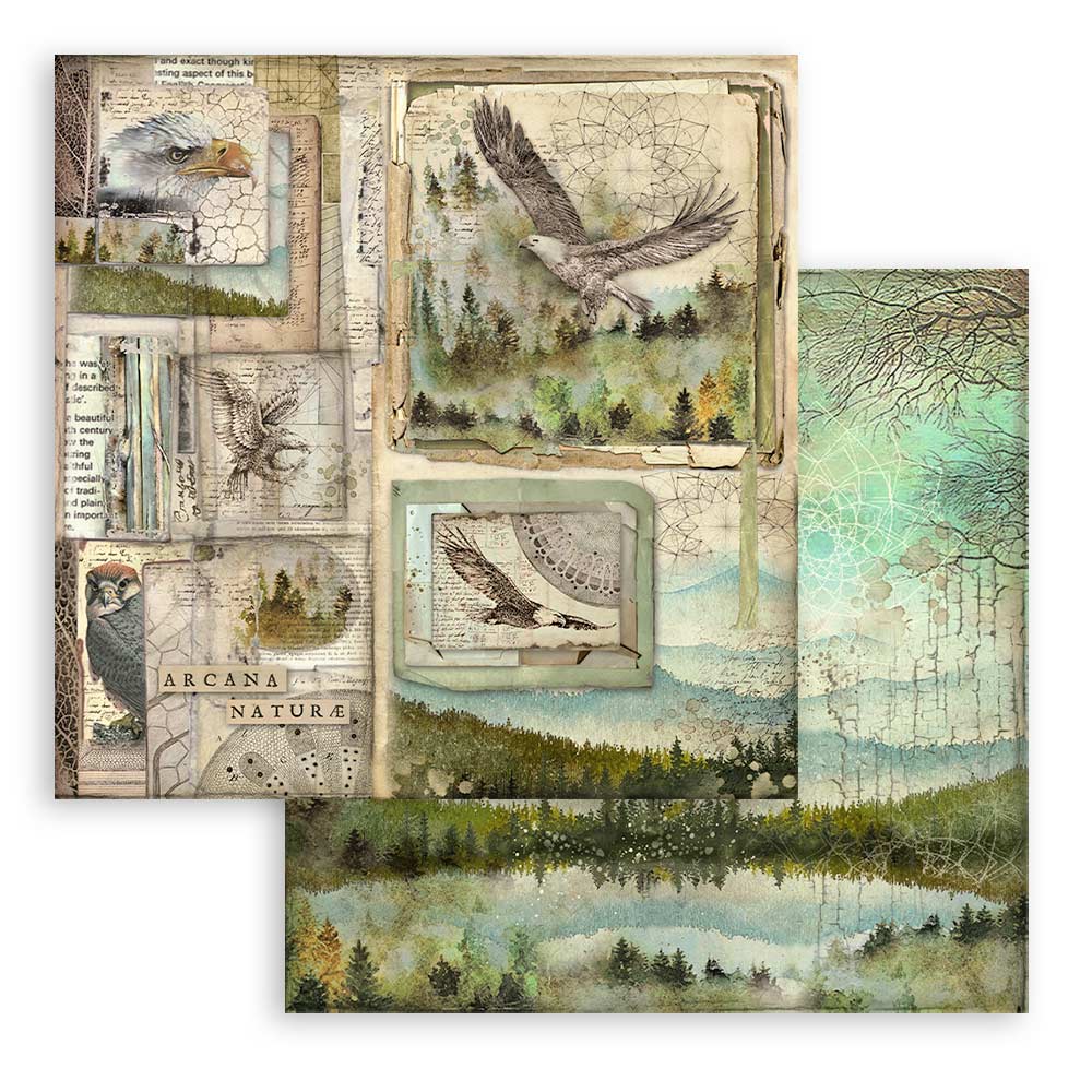 Stamperia – Blocco scrapbooking 30,5 × 30,5 cm – 10 fogli fronte-retro - Forest - immagine 9