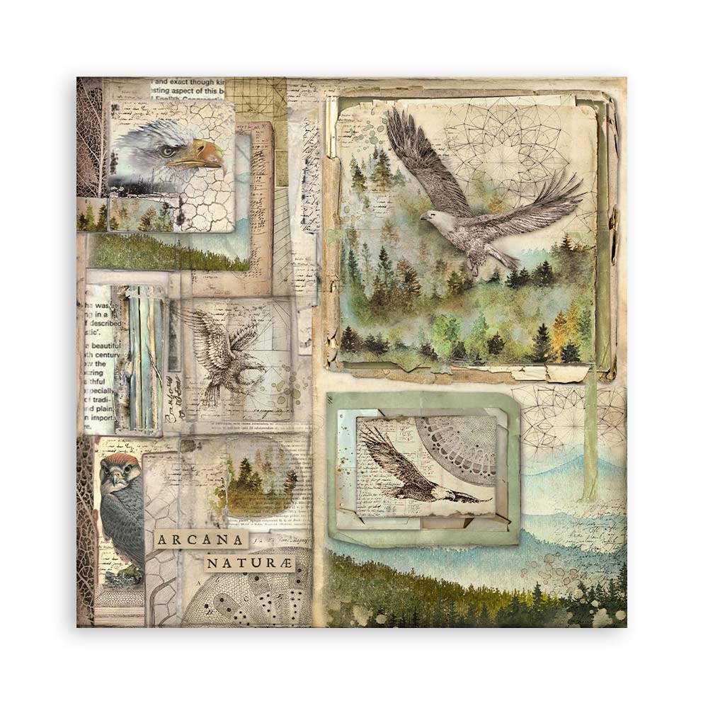Stamperia – Blocco scrapbooking 30,5 × 30,5 cm – 10 fogli fronte-retro - Forest - immagine 10
