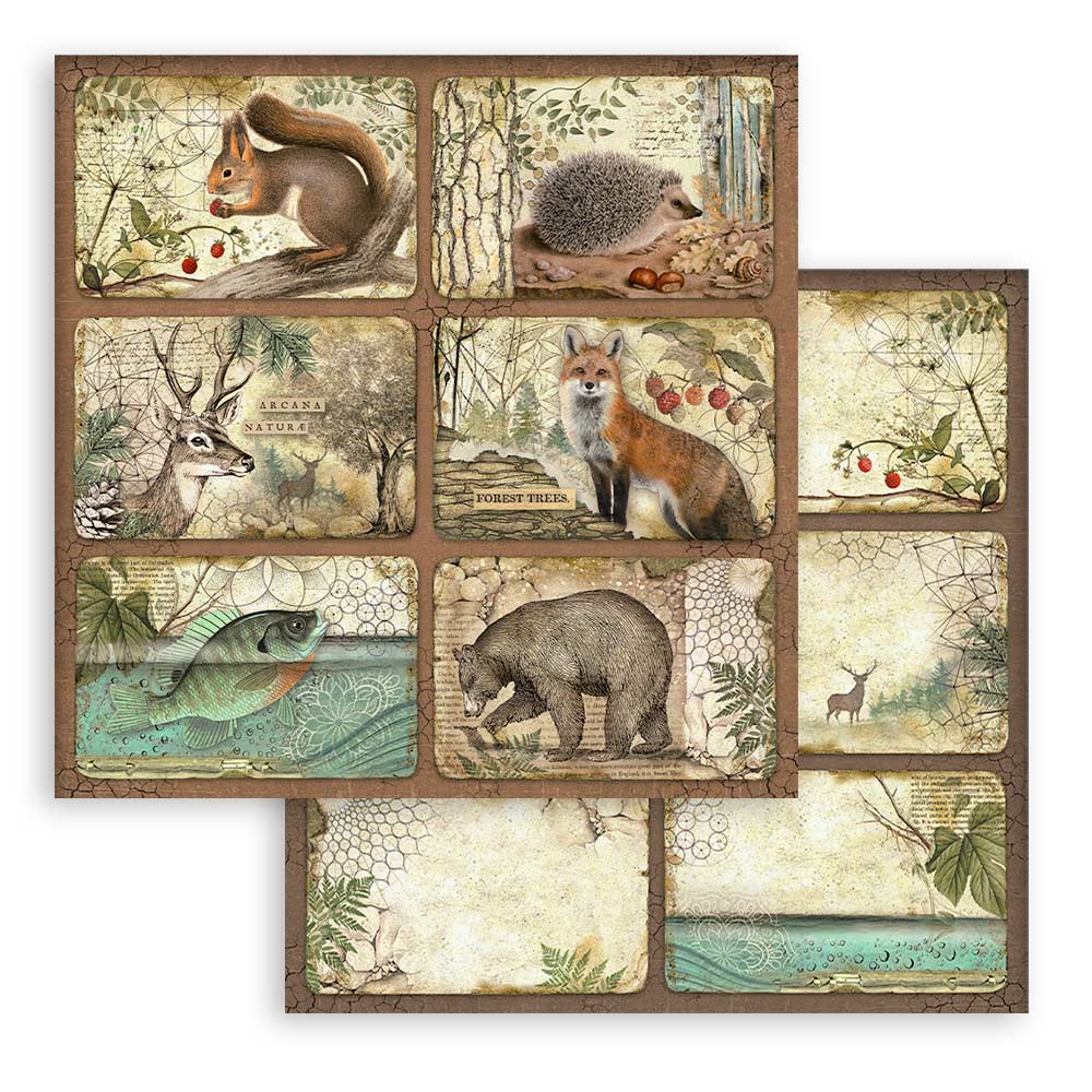 Stamperia – Blocco scrapbooking 30,5 × 30,5 cm – 10 fogli fronte-retro - Forest - immagine 12