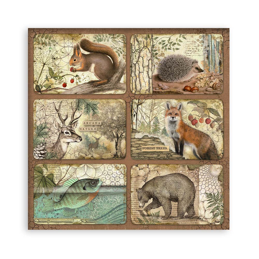 Stamperia – Blocco scrapbooking 30,5 × 30,5 cm – 10 fogli fronte-retro - Forest - immagine 13