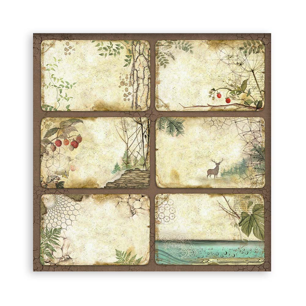 Stamperia – Blocco scrapbooking 30,5 × 30,5 cm – 10 fogli fronte-retro - Forest - immagine 14