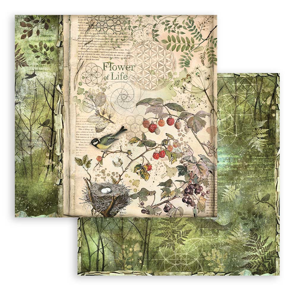 Stamperia – Blocco scrapbooking 30,5 × 30,5 cm – 10 fogli fronte-retro - Forest - immagine 18