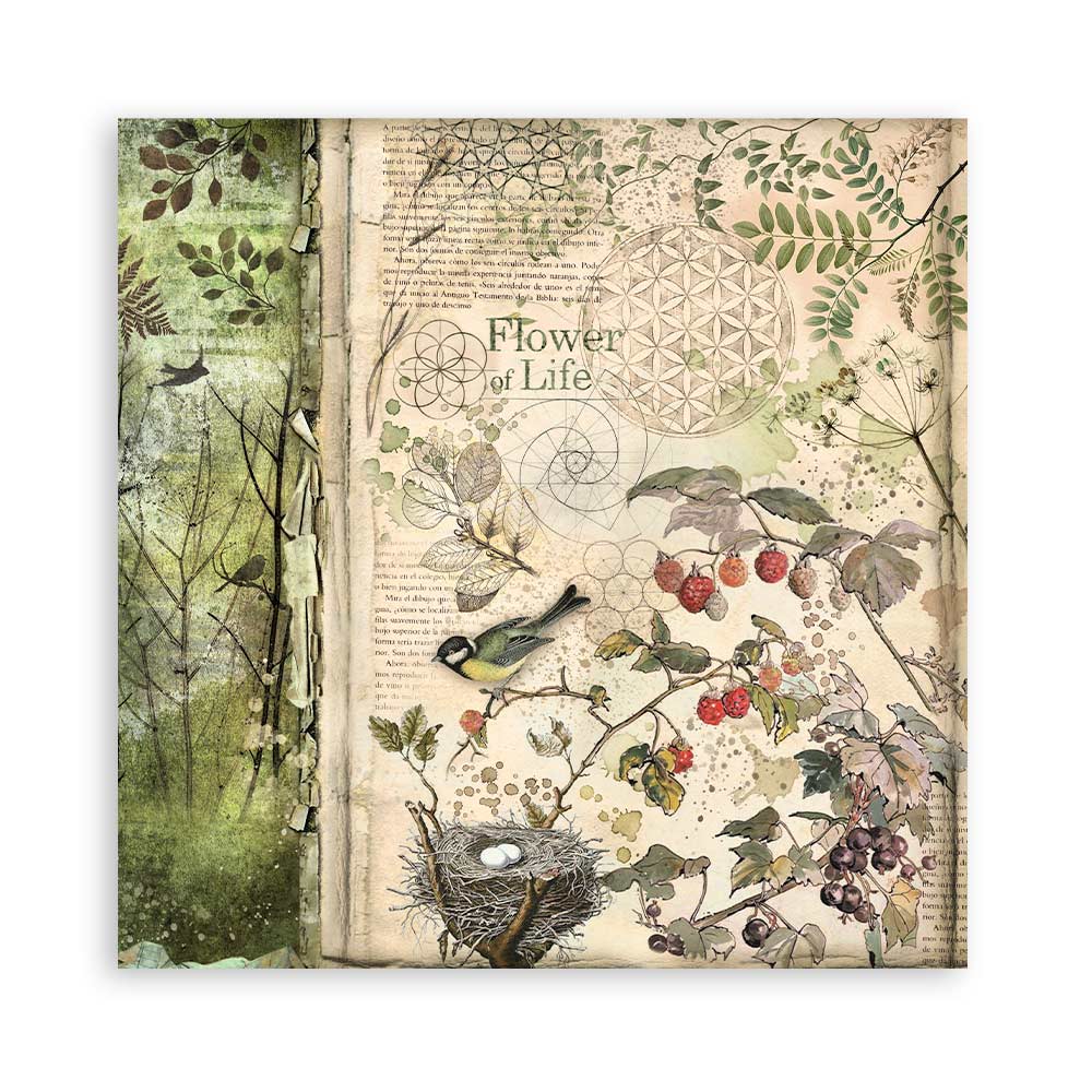 Stamperia – Blocco scrapbooking 30,5 × 30,5 cm – 10 fogli fronte-retro - Forest - immagine 19