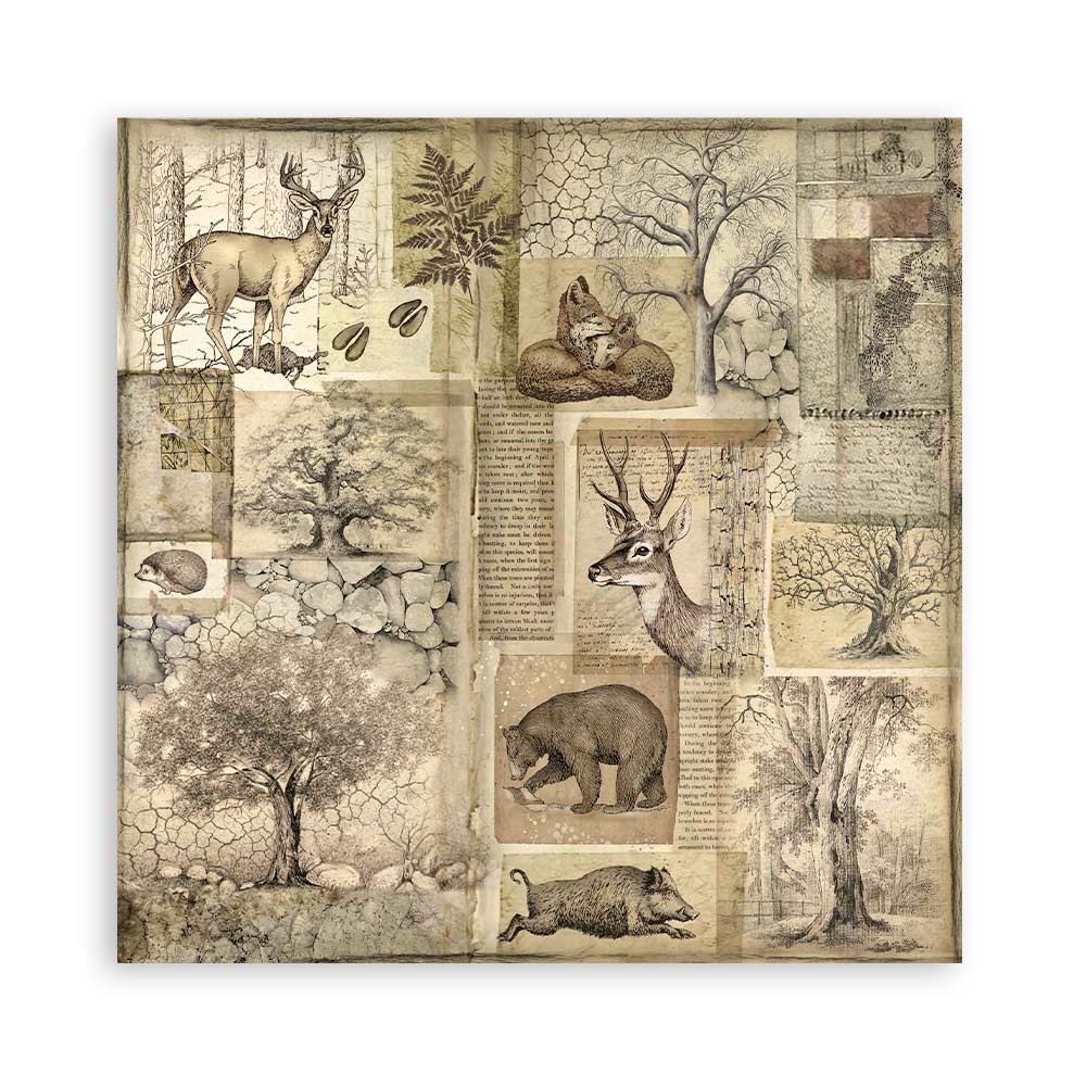 Stamperia – Blocco scrapbooking 30,5 × 30,5 cm – 10 fogli fronte-retro - Forest - immagine 22