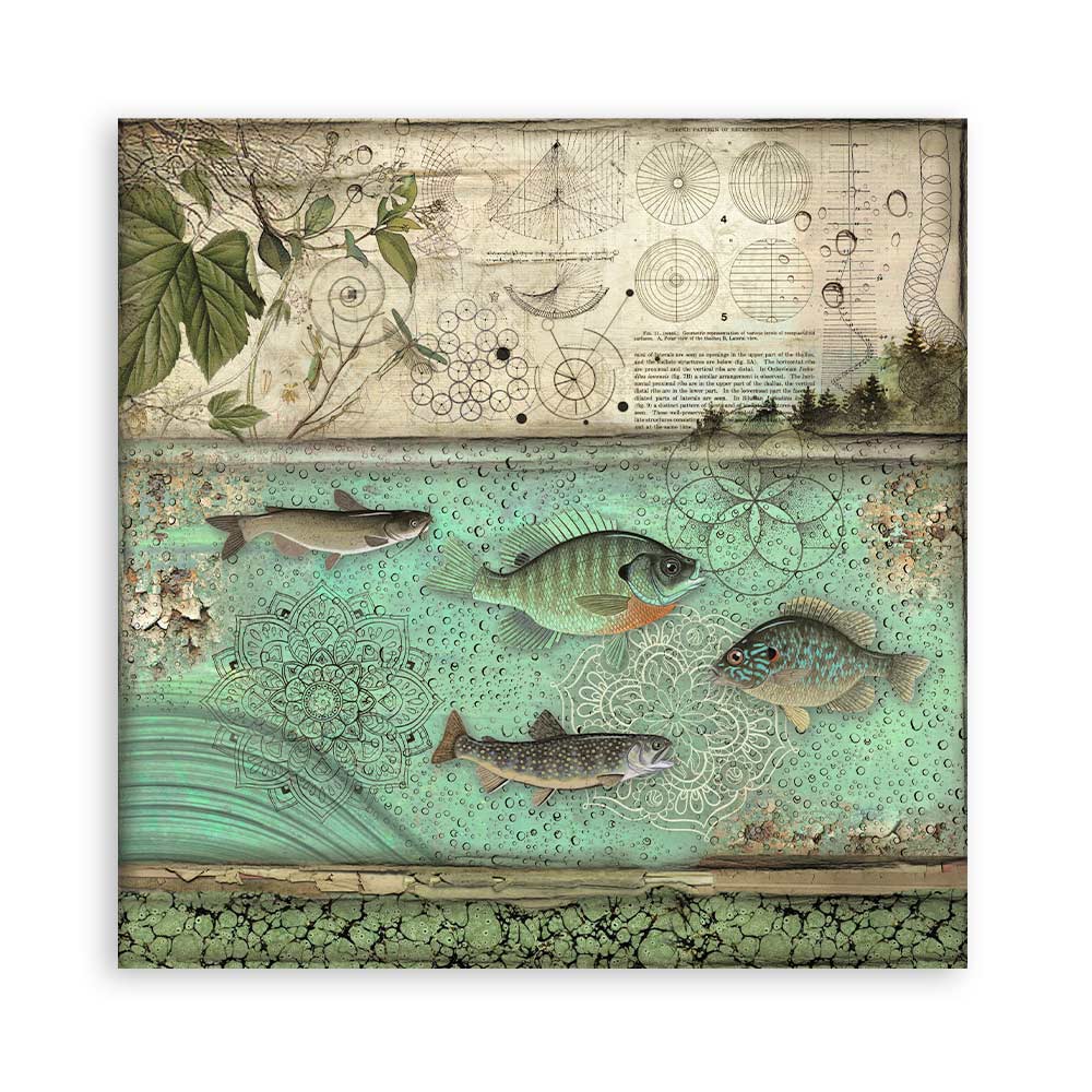 Stamperia – Blocco scrapbooking 30,5 × 30,5 cm – 10 fogli fronte-retro - Forest - immagine 25