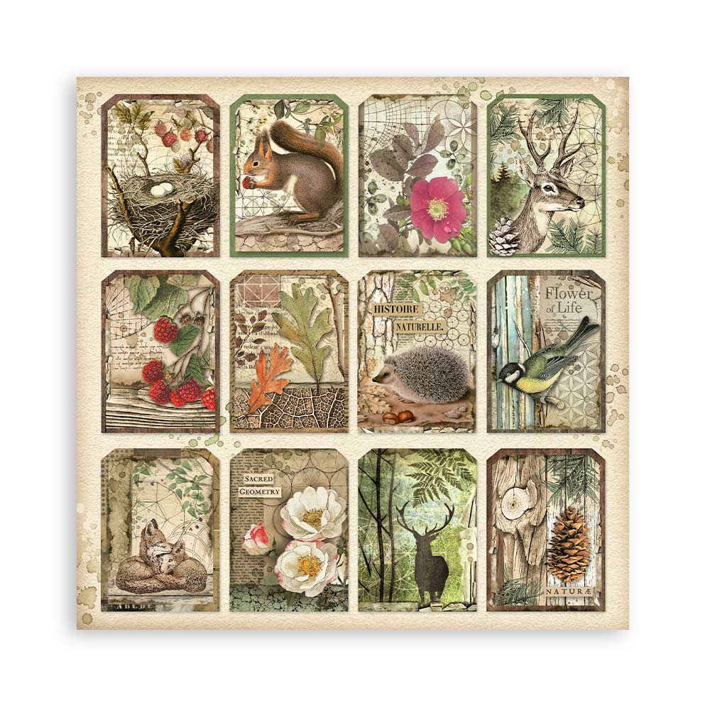 Stamperia – Blocco scrapbooking 30,5 × 30,5 cm – 10 fogli fronte-retro - Forest - immagine 28