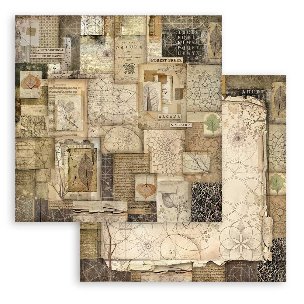 Stamperia – Blocco scrapbooking 30,5 × 30,5 cm – 10 fogli fronte-retro - Forest - immagine 30