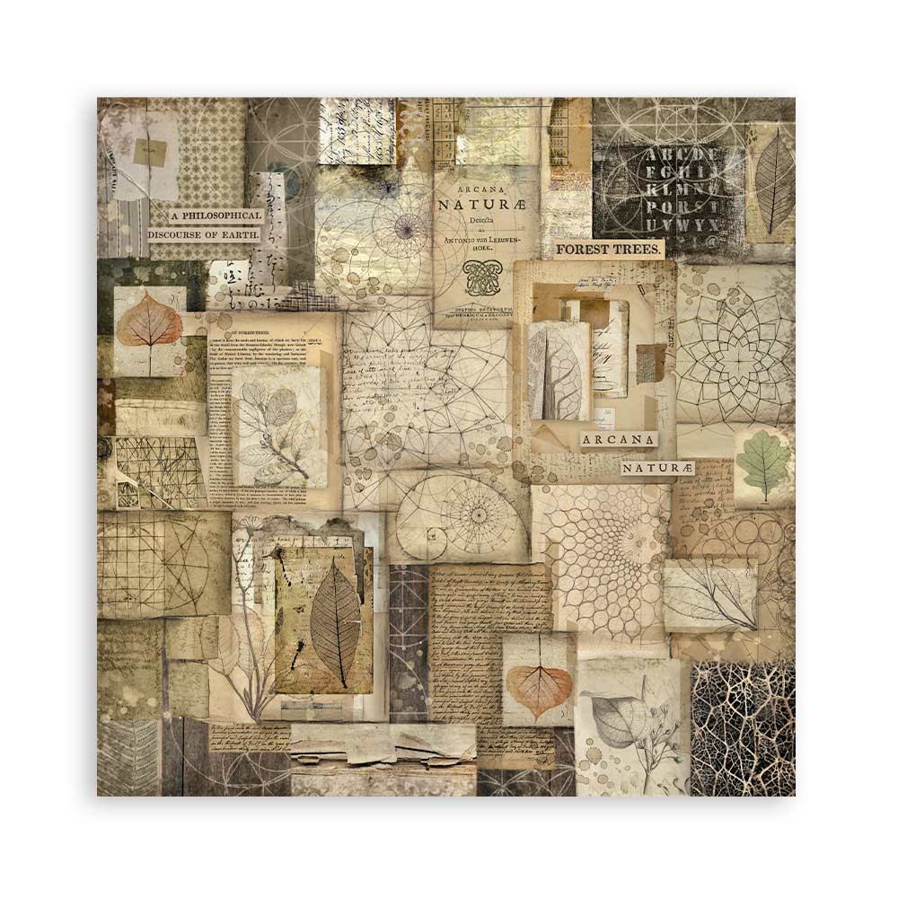 Stamperia – Blocco scrapbooking 30,5 × 30,5 cm – 10 fogli fronte-retro - Forest - immagine 31