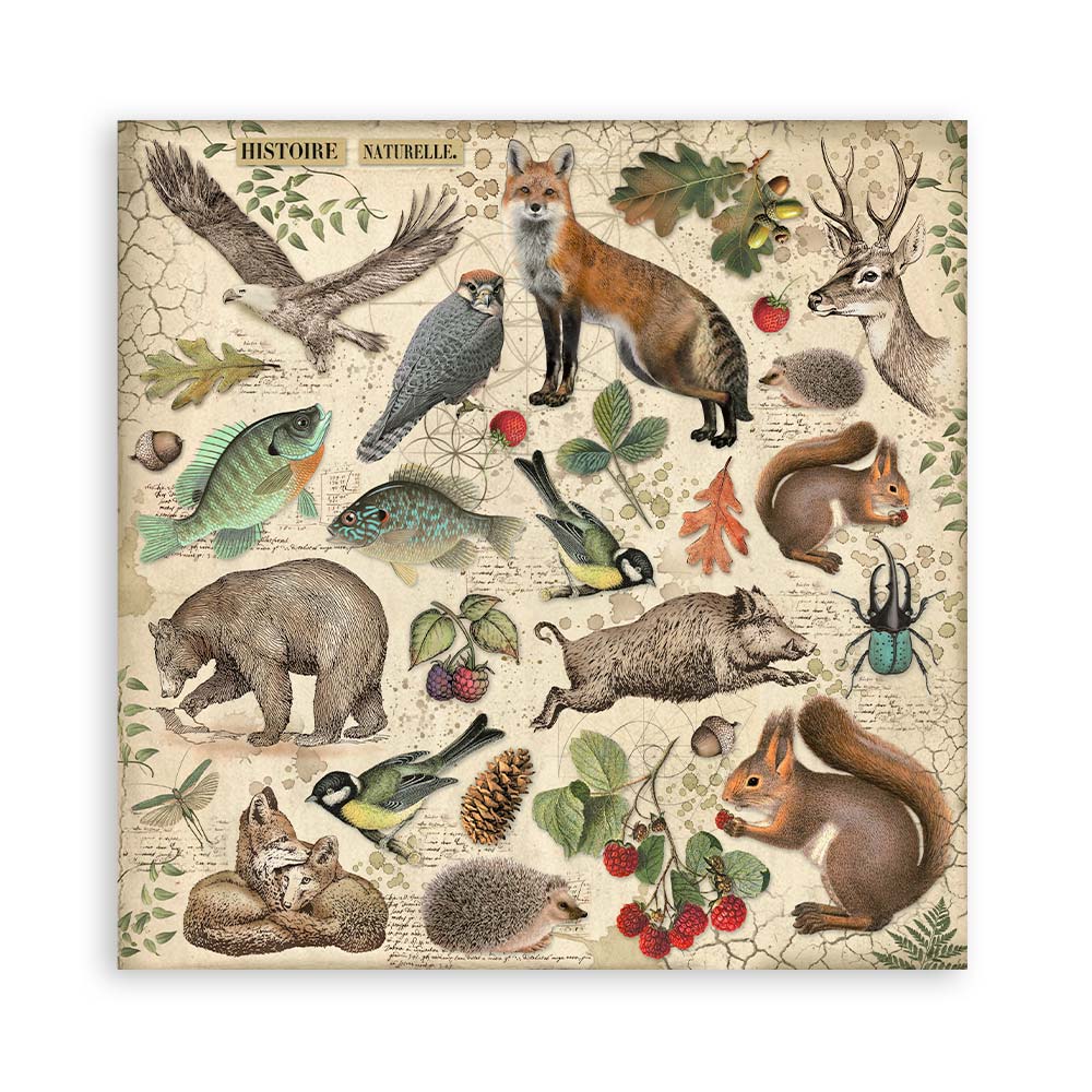 Stamperia – Blocco scrapbooking 30,5 × 30,5 cm – 10 fogli fronte-retro - Forest - immagine 33