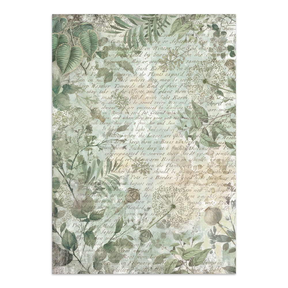 Stamperia – Junk Journal – adesivi, ritagli e sfondi - Herbarium Silvae - immagine 2