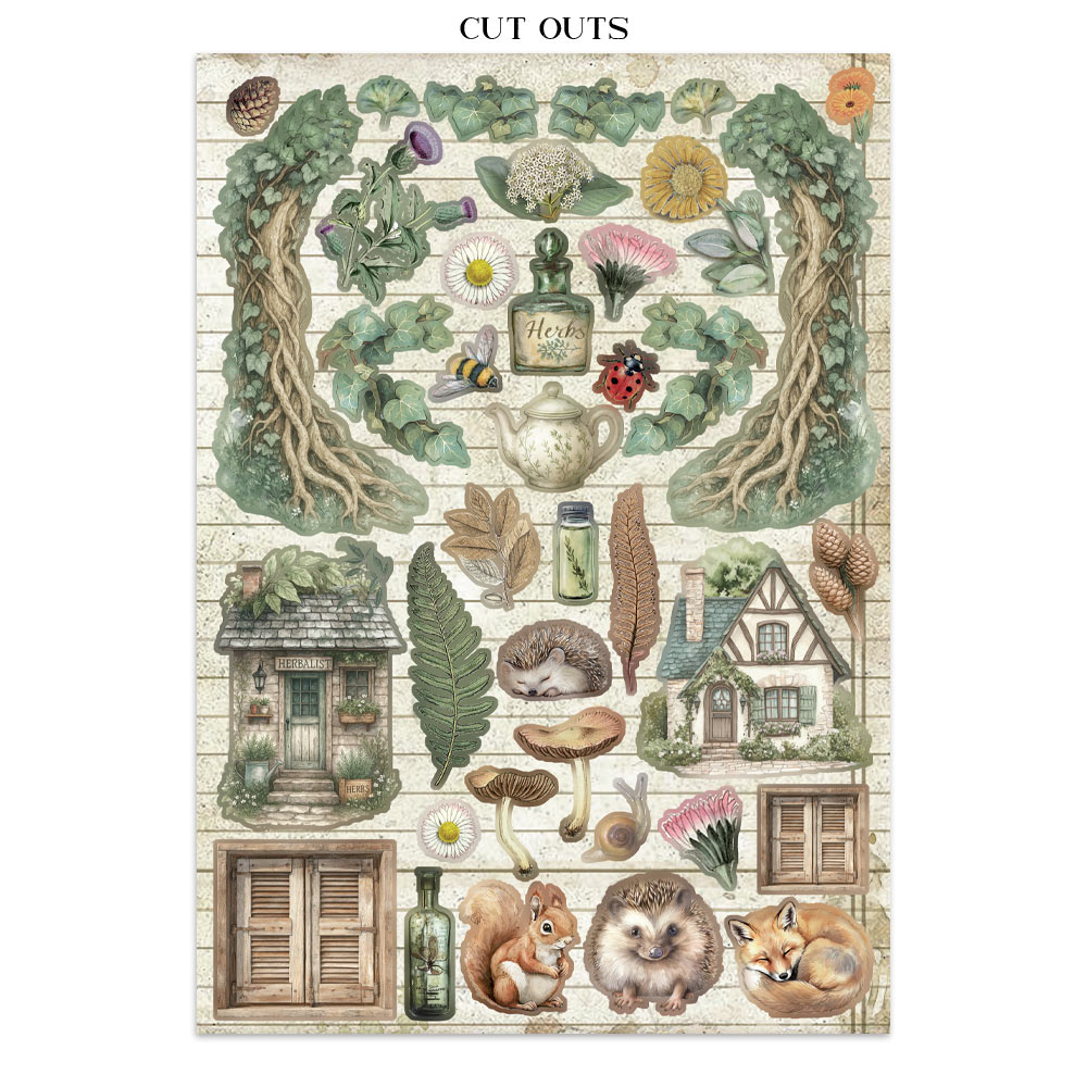 Stamperia – Junk Journal – adesivi, ritagli e sfondi - Herbarium Silvae - immagine 11