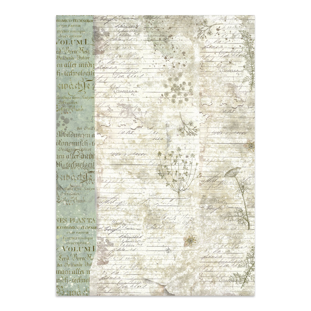 Stamperia – Junk Journal – adesivi, ritagli e sfondi - Herbarium Silvae - immagine 15