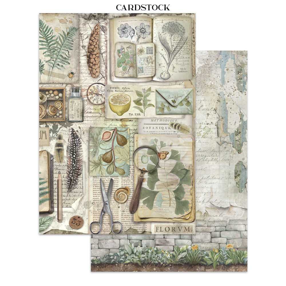 Stamperia – Junk Journal – adesivi, ritagli e sfondi - Herbarium Silvae - immagine 21