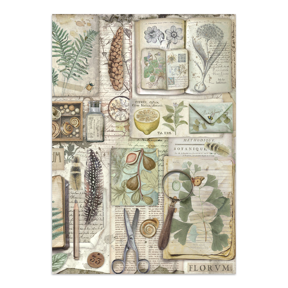 Stamperia – Junk Journal – adesivi, ritagli e sfondi - Herbarium Silvae - immagine 22