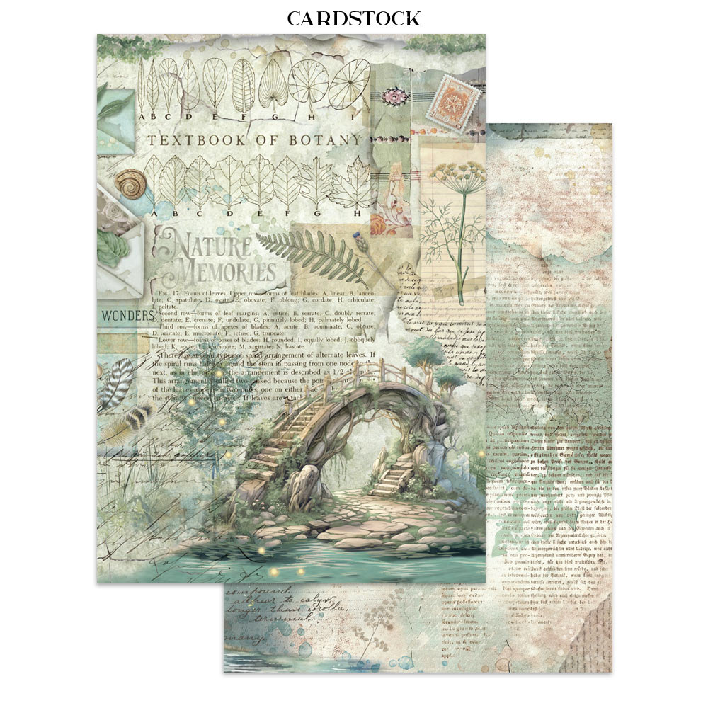 Stamperia – Junk Journal – adesivi, ritagli e sfondi - Herbarium Silvae - immagine 32