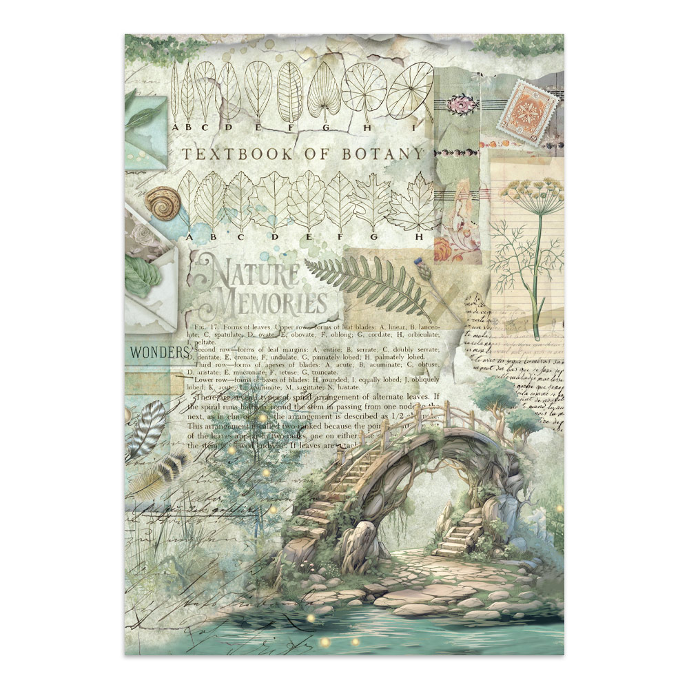 Stamperia – Junk Journal – adesivi, ritagli e sfondi - Herbarium Silvae - immagine 33