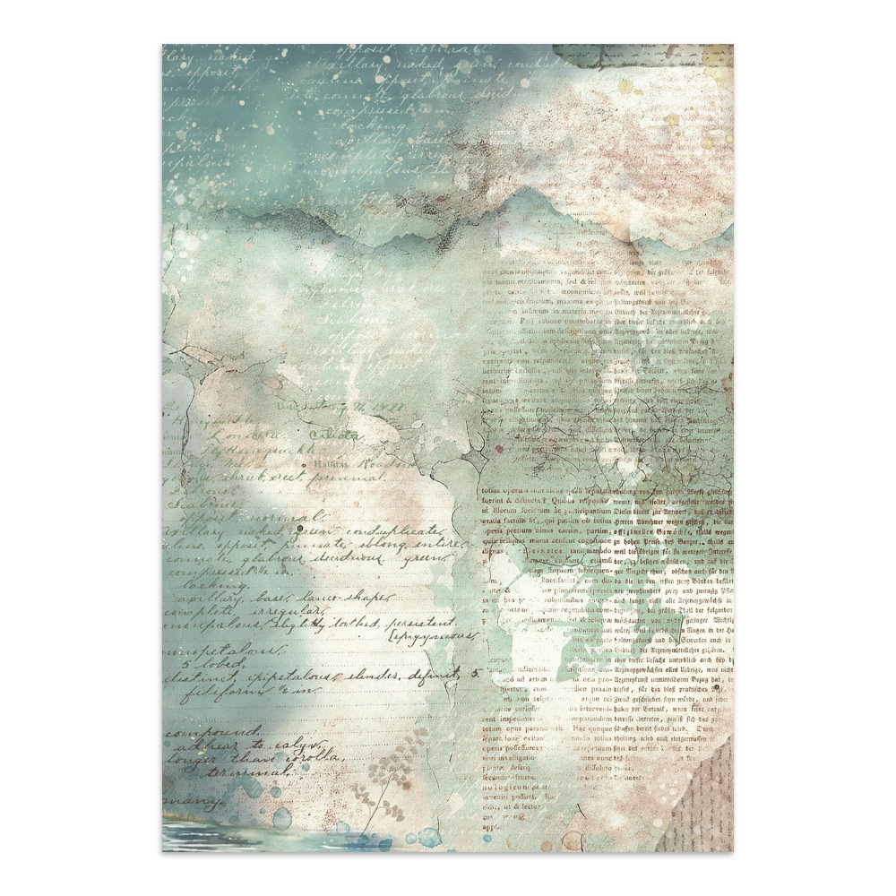 Stamperia – Junk Journal – adesivi, ritagli e sfondi - Herbarium Silvae - immagine 34