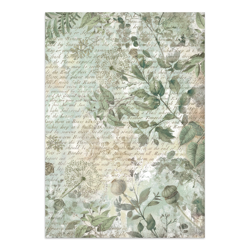 Stamperia – Junk Journal – adesivi, ritagli e sfondi - Herbarium Silvae - immagine 35
