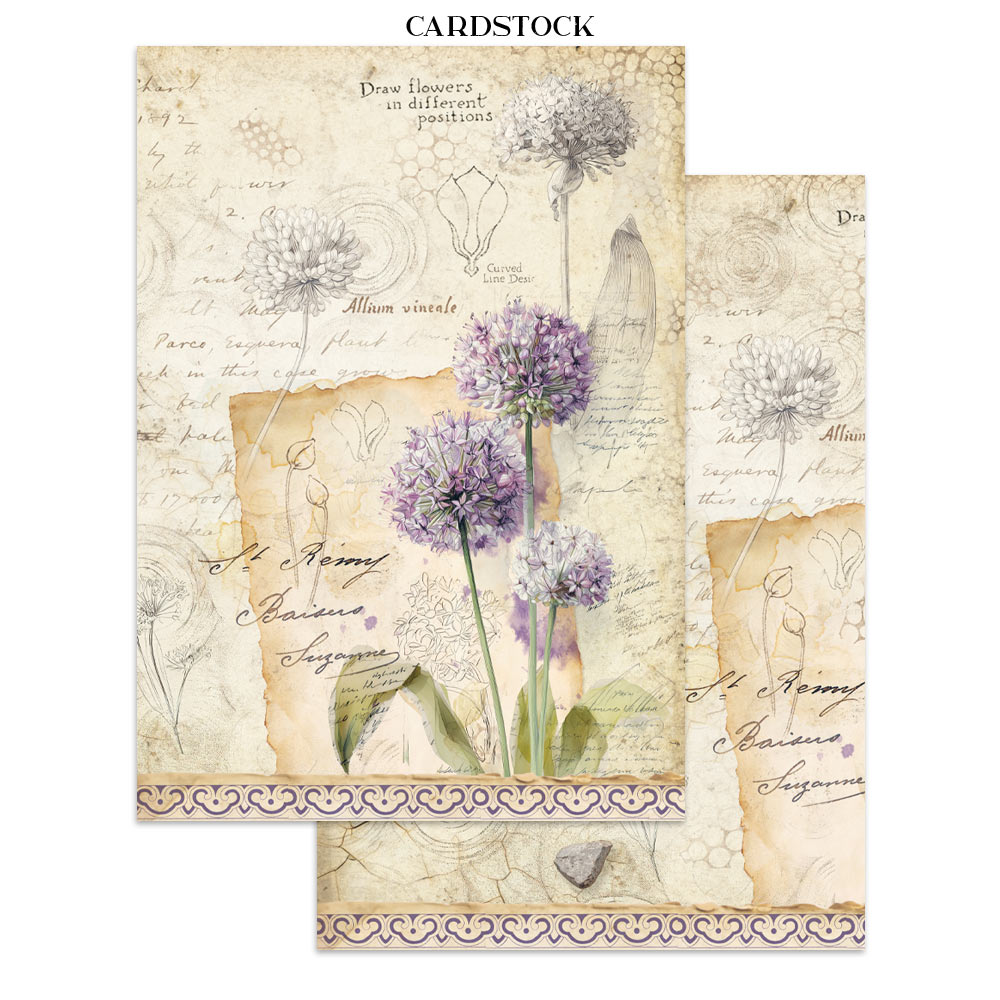 Stamperia – Junk Journal – adesivi, ritagli e sfondi - All Around - immagine 3