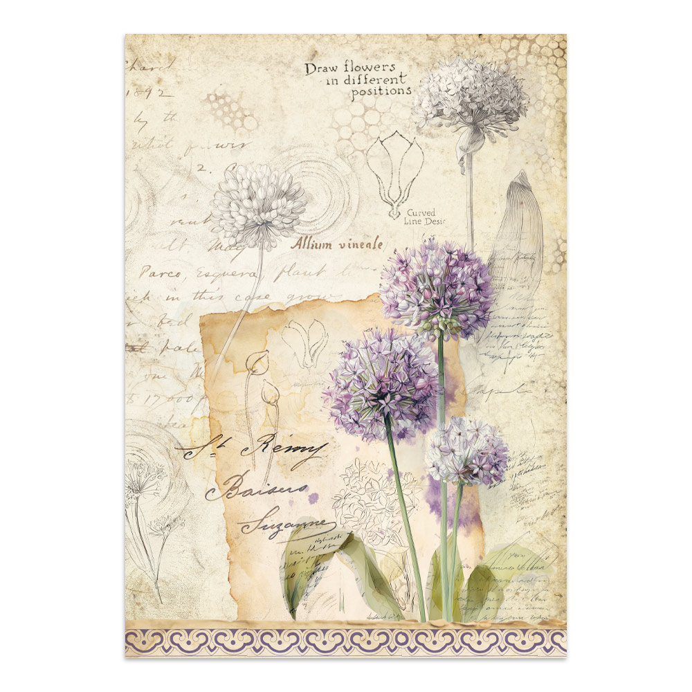 Stamperia – Junk Journal – adesivi, ritagli e sfondi - All Around - immagine 4