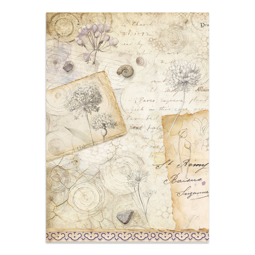 Stamperia – Junk Journal – adesivi, ritagli e sfondi - All Around - immagine 5